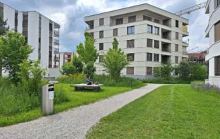 gestion du ruissellement-au PAD de l'ancienne papeterie -Marly | Eaux Superficielles - Ville-éponge