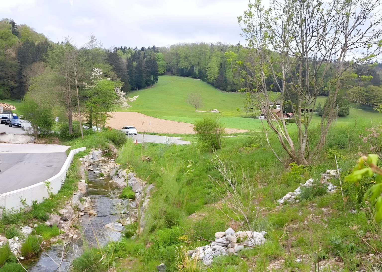 Projet de Sécurisation et d Aménagement de protection contre les crues du Forestay et du Longiron Puidoux - Eaux superficielles - Triform