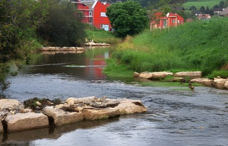 Revitalisation de l’Orbe supérieure, commune du Chenit (VD) - Eaux superficielles - Triform - Cours d'eau et maisons rouges