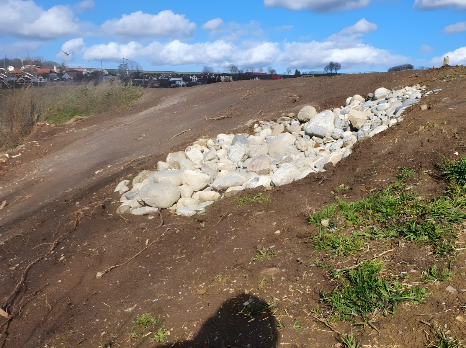 Revitalisation de La Longivue - Eaux superficielles - Aménagements et revitalisations - Aménagement