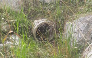 Revitalisation de La Longivue - Eaux superficielles - Aménagements et revitalisations - Canalisation