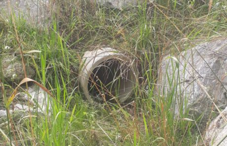 Revitalisation de La Longivue - Eaux superficielles - Aménagements et revitalisations - Canalisation