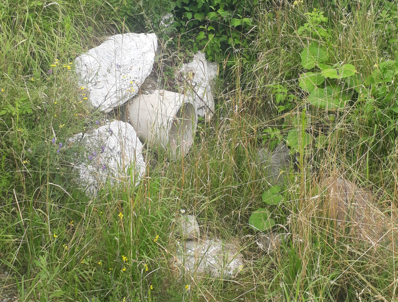 Revitalisation de La Longivue - Eaux superficielles - Aménagements et revitalisations - Canalisation