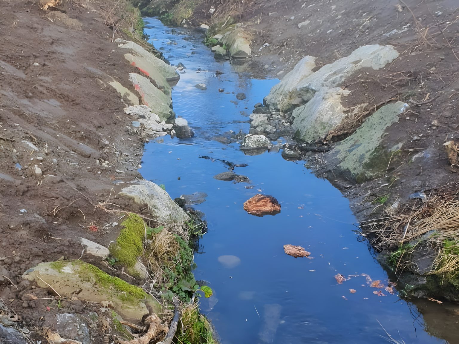 Revitalisation de La Longivue - Eaux superficielles - Aménagements et revitalisations - Cours d'eau