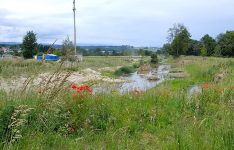 Revitalisation de la Petite-Glâne - Eaux superficielles - Amenagement et revitalisation cours d'eau - Paysage avec cours d'eau et travaux