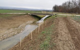 Revitalisation du ruisseau de Sadaz à Chavornay (VD) - Cours d'eau - Eaux superficielles