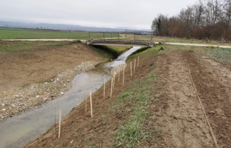 Revitalisation du ruisseau de Sadaz à Chavornay (VD) - Cours d'eau - Eaux superficielles